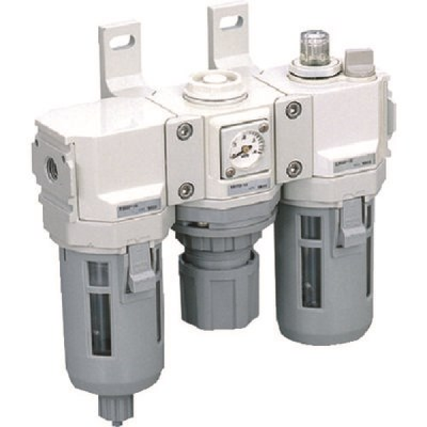 Bộ lọc khí C3000-10-W