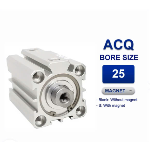 Xi lanh Trục ACE25X30S